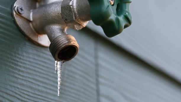 Best Septic Systems  in Morton, WA